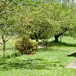 Ristrutturato Con Piccola Vista 公寓 Besozzo
