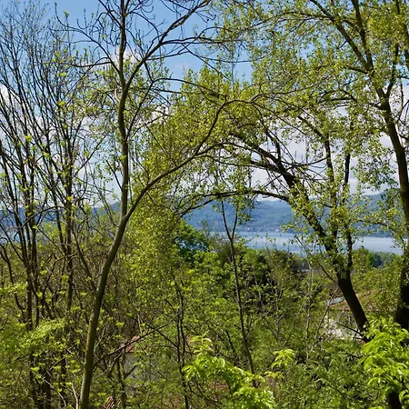 Apartment Ristrutturato Con Piccola Vista