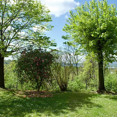 Ristrutturato Con Piccola Vista Apartment Besozzo