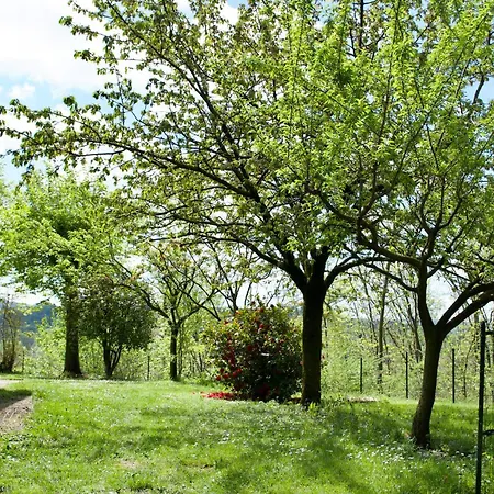 Ristrutturato Con Piccola Vista *