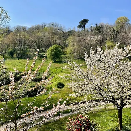 Ristrutturato Con Piccola Vista Apartment
