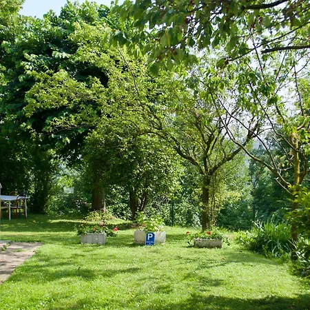 Ristrutturato Con Piccola Vista Apartment