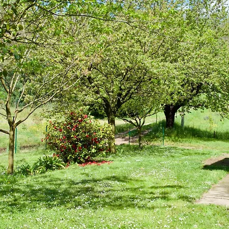 Ristrutturato Con Piccola Vista Lägenhet Besozzo
